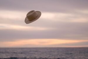 Flying hat